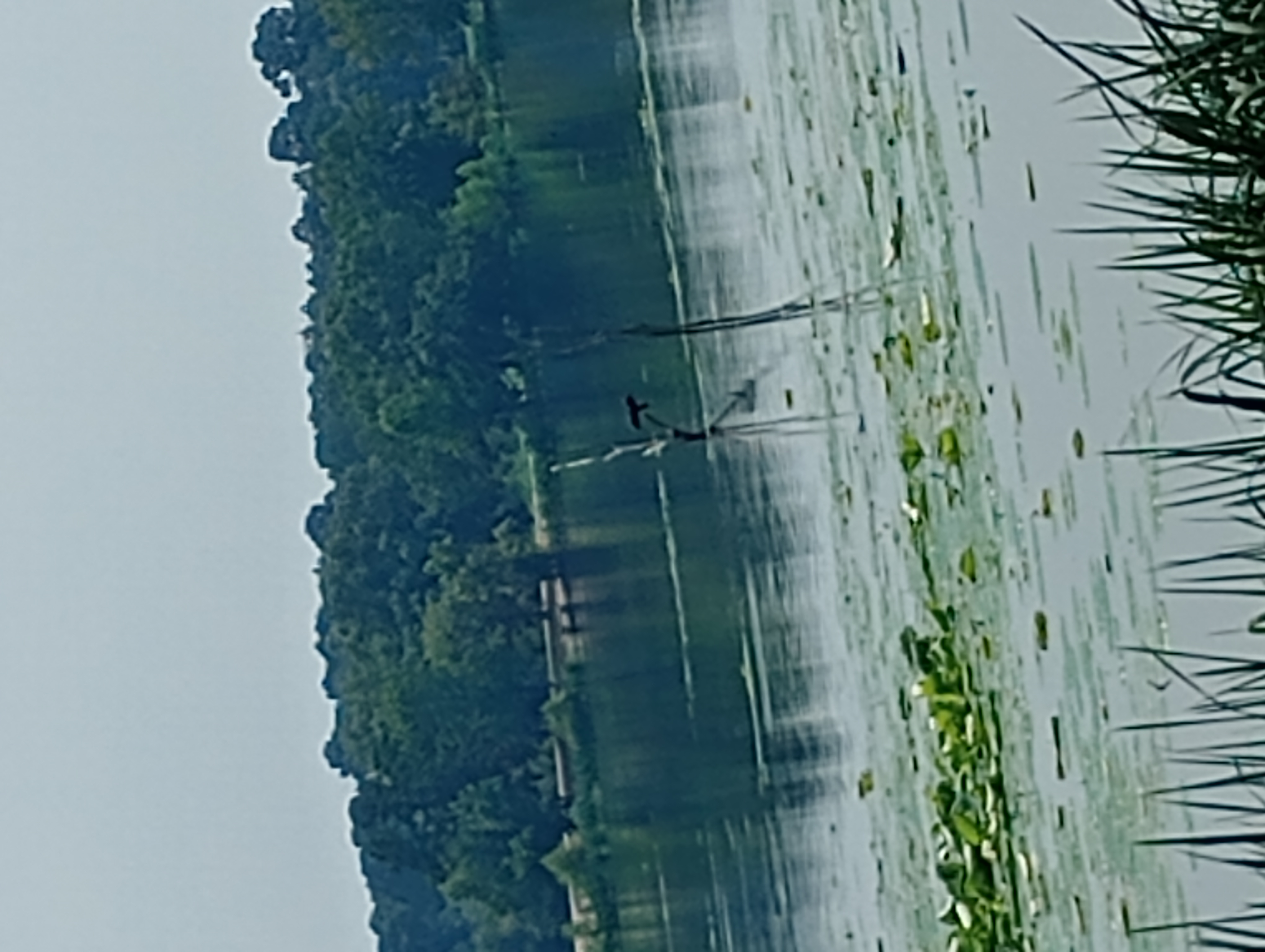 Avatar for Dawson welch 