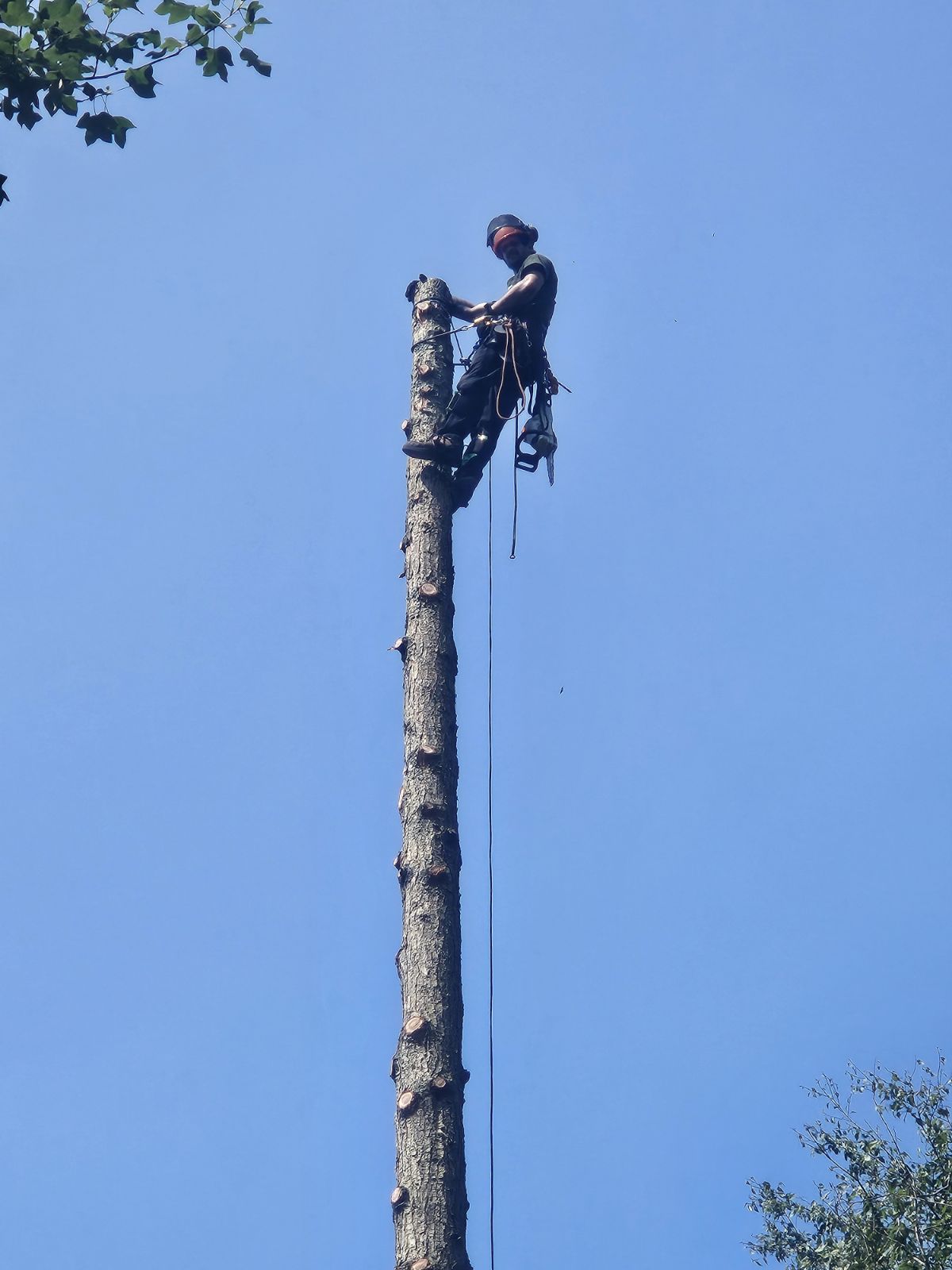 Avatar for Sheldon heddings