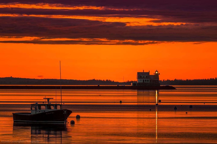 Avatar for Sparkling Maids