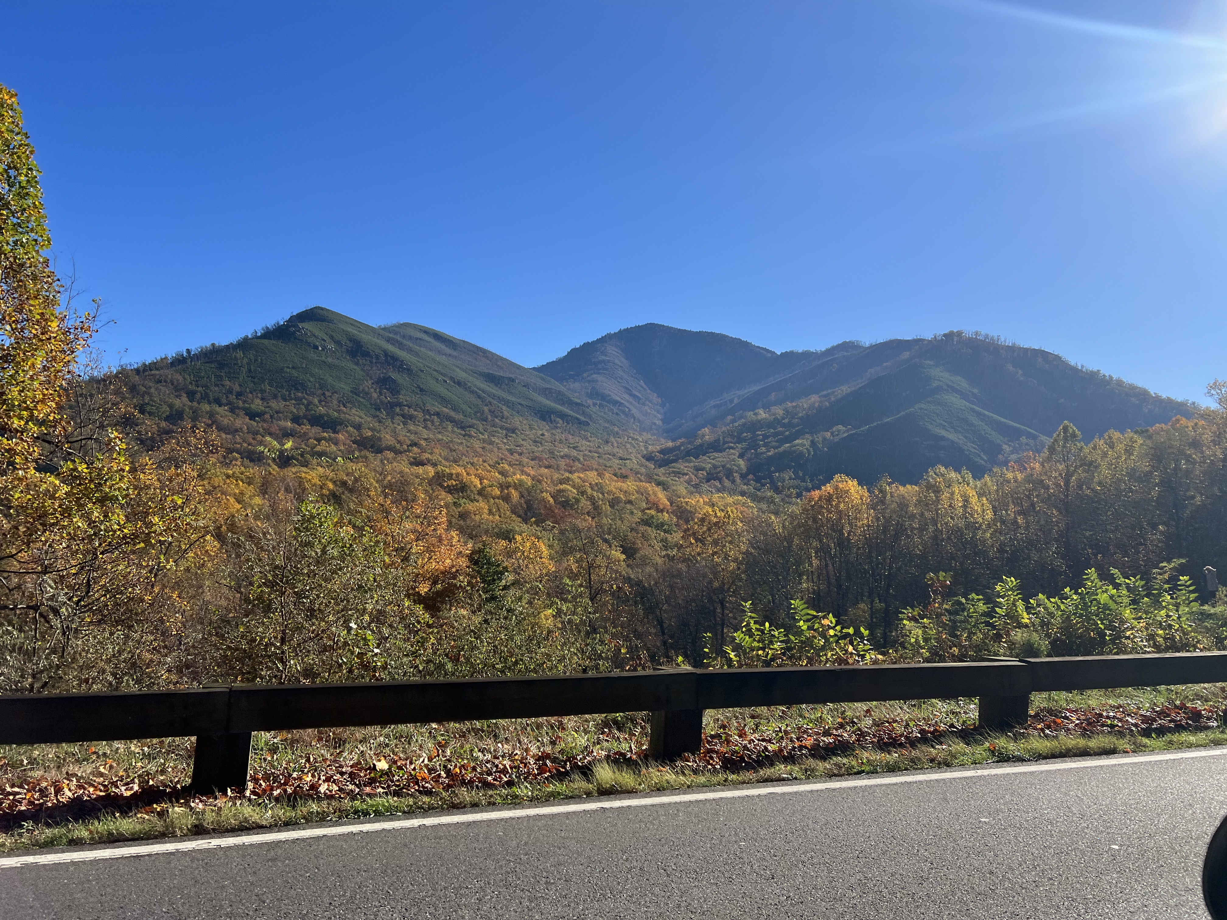 Avatar for AM Land Development