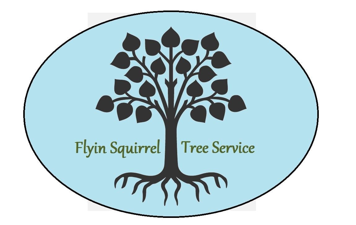 Avatar for Flyin Squirrel Tree Service