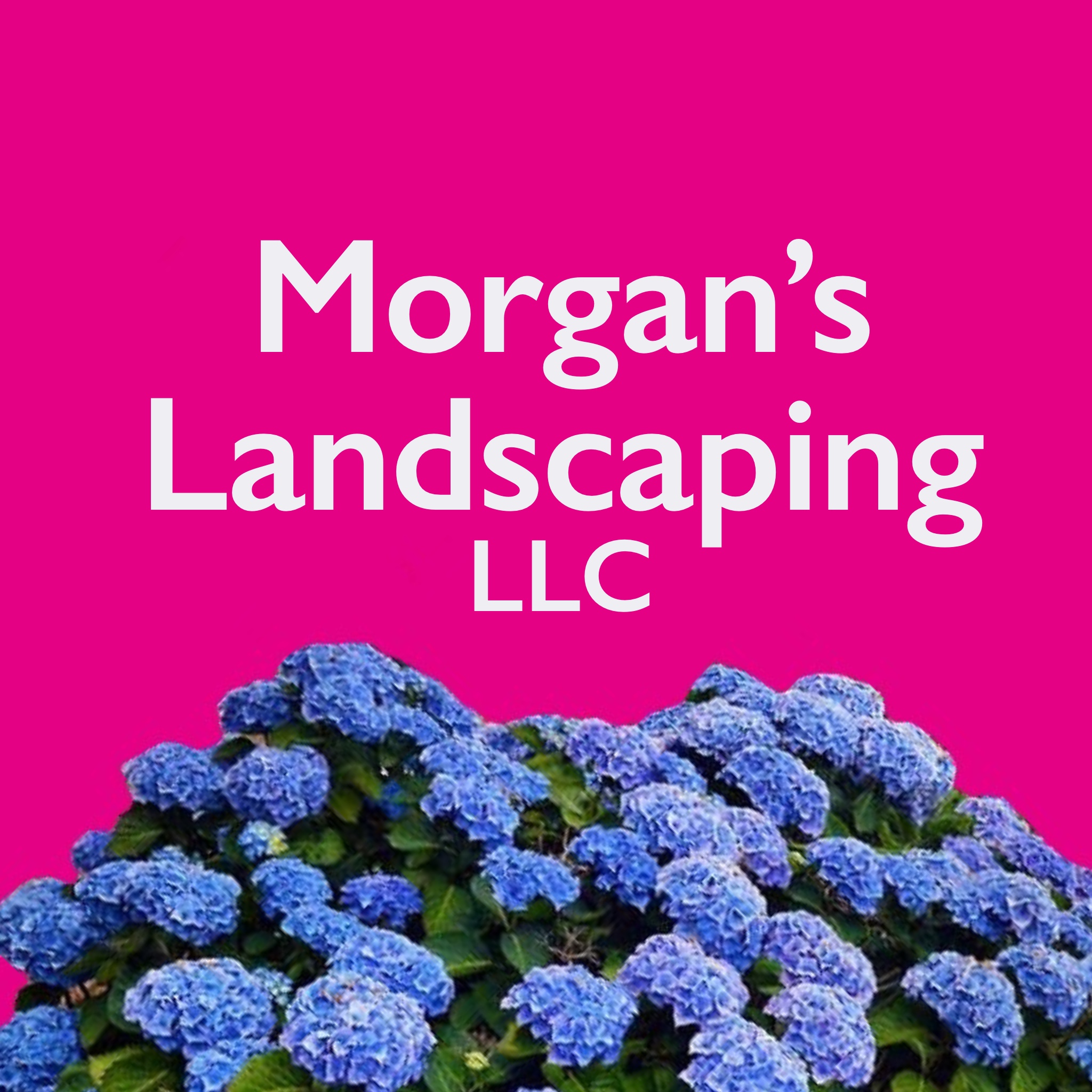Avatar for Morgans Landscaping LLC