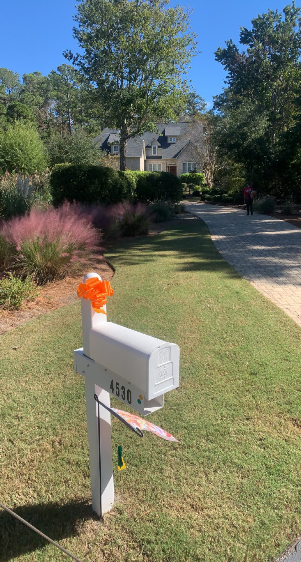 Avatar for Southern Yard Works