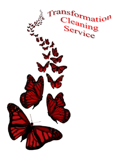 Avatar for Transformation Cleaning Service