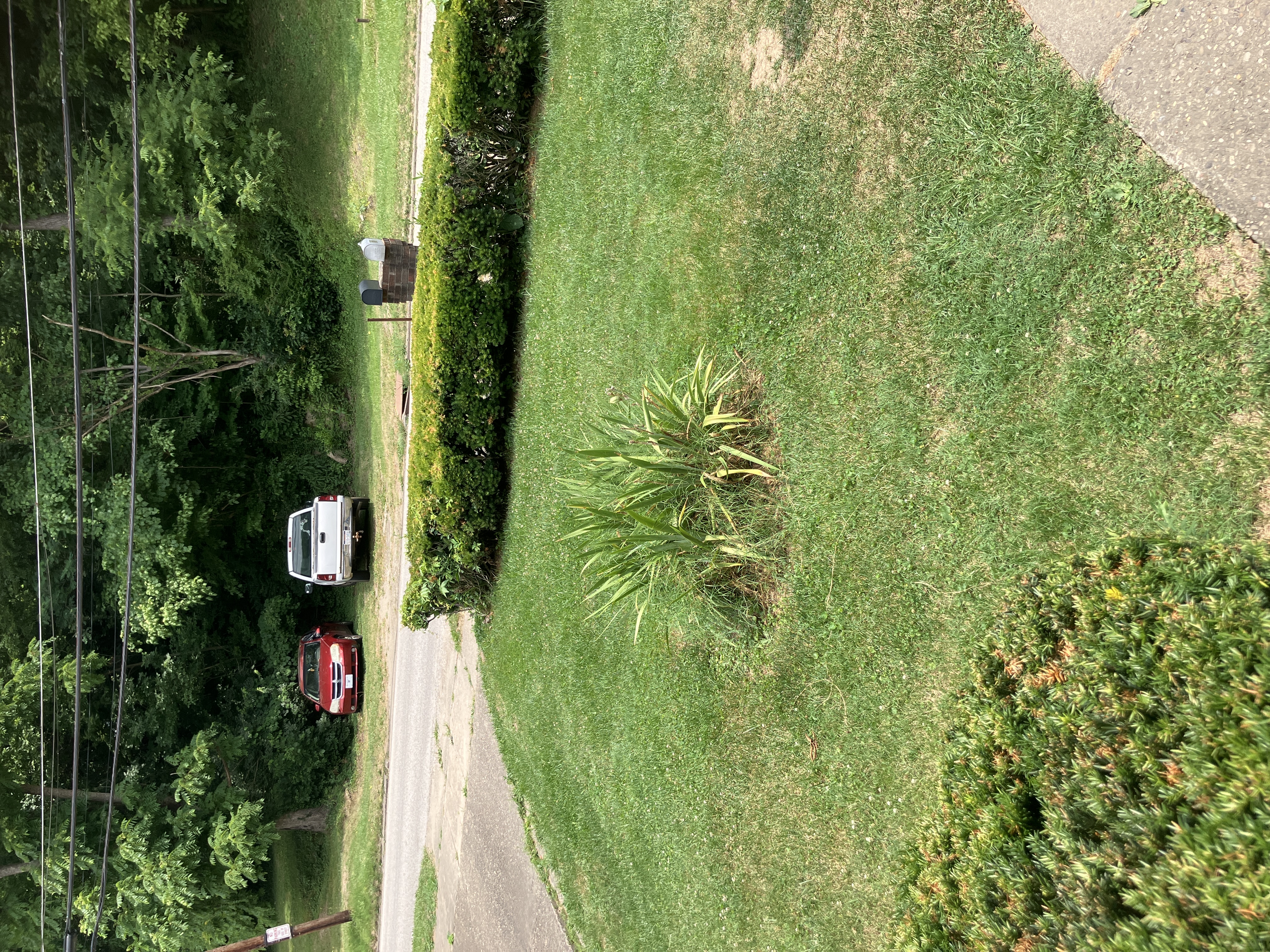 Avatar for Napier’s Lawn and handyman services