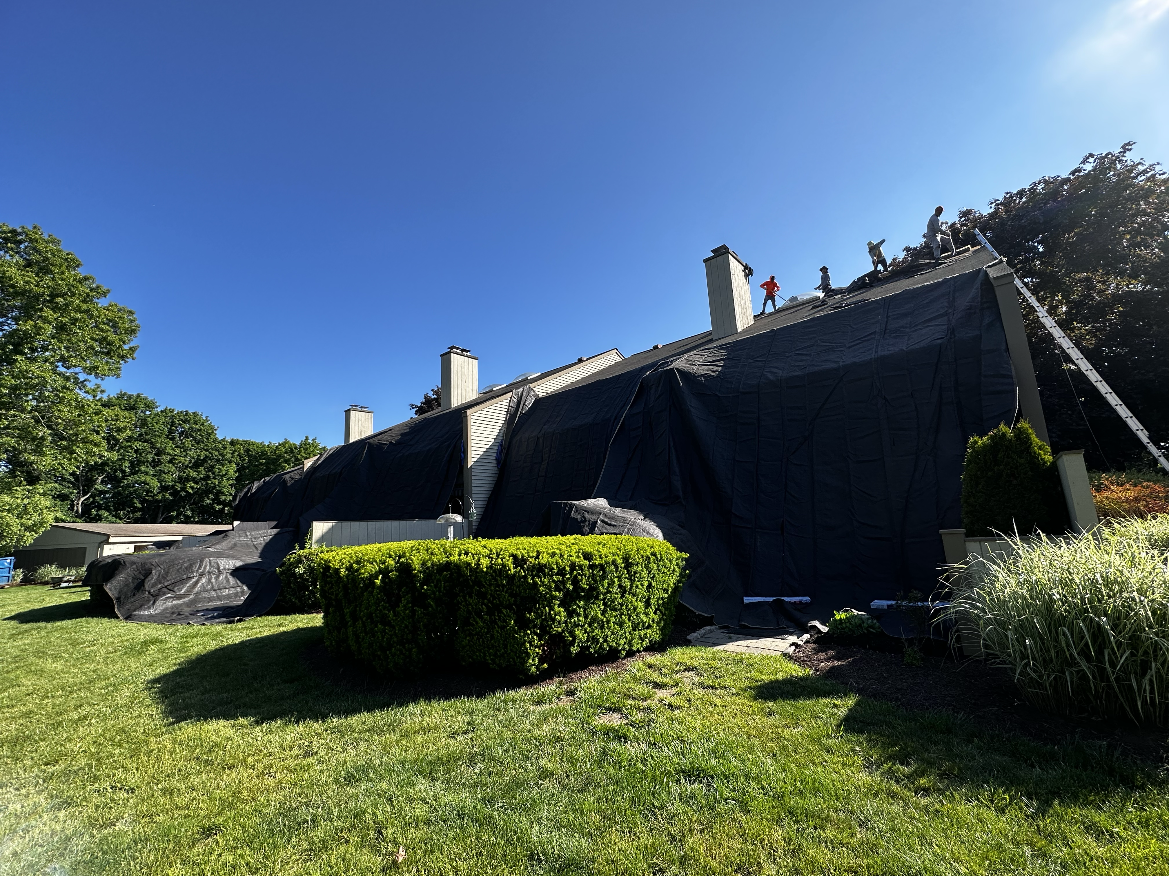 Avatar for CT Home Evolution LLC.