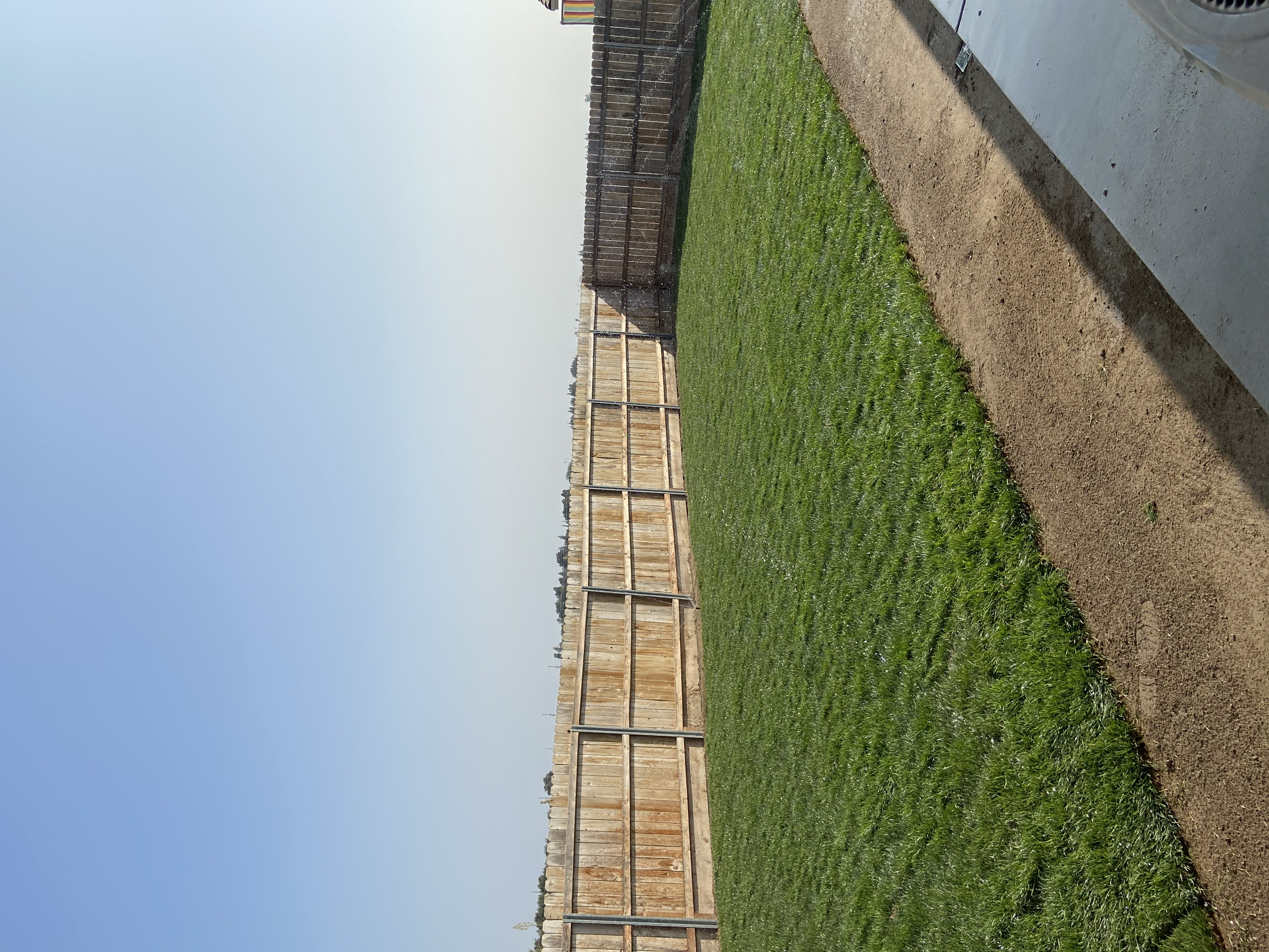 Avatar for Kiko landscaping