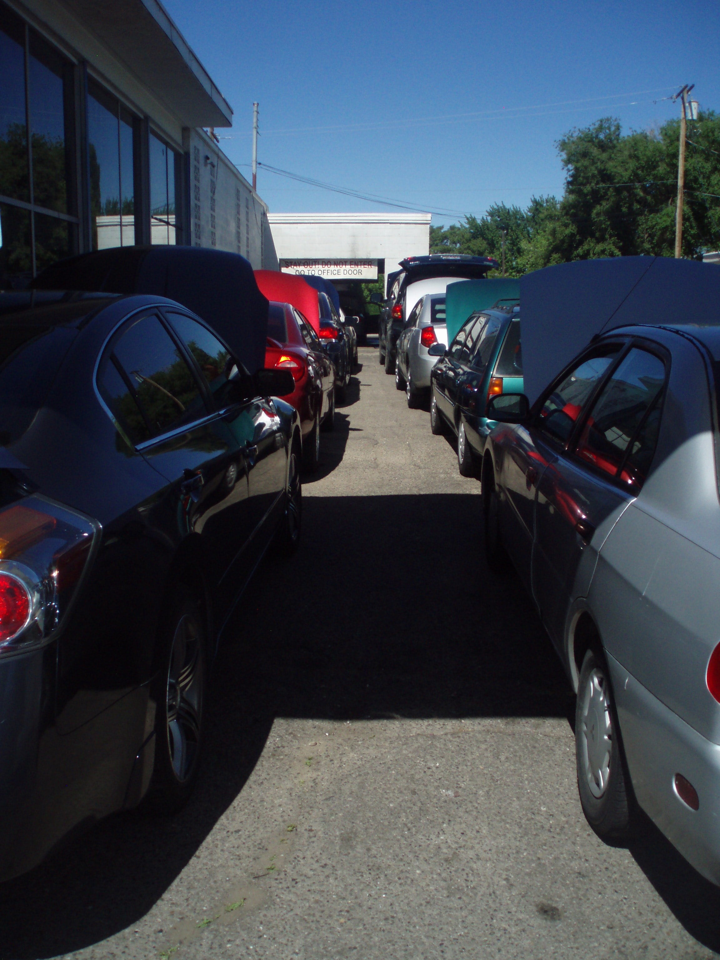 Avatar for Mint Condition