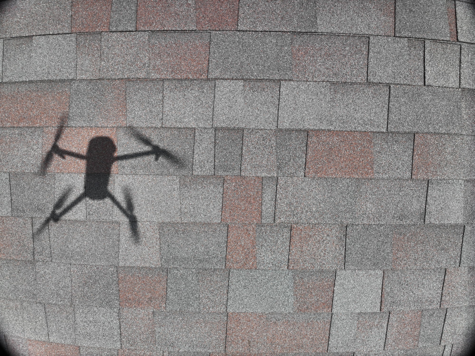 Avatar for Blue Falcon Aerial