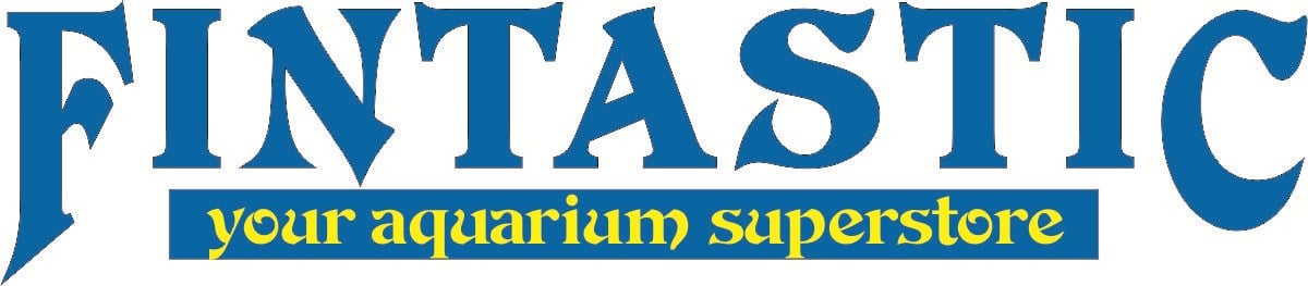 Fintastic logo