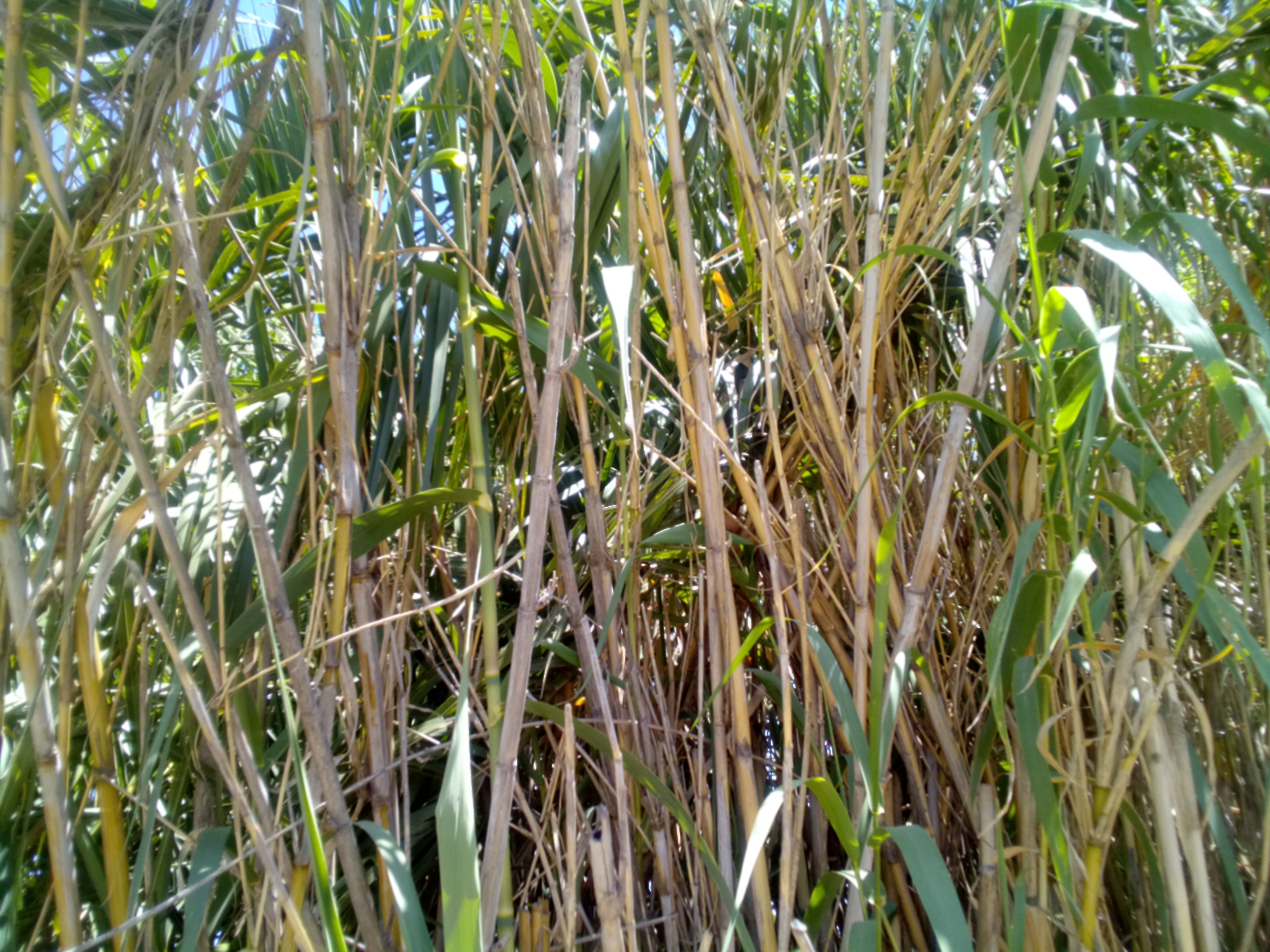 Avatar for Abbott Property Services 