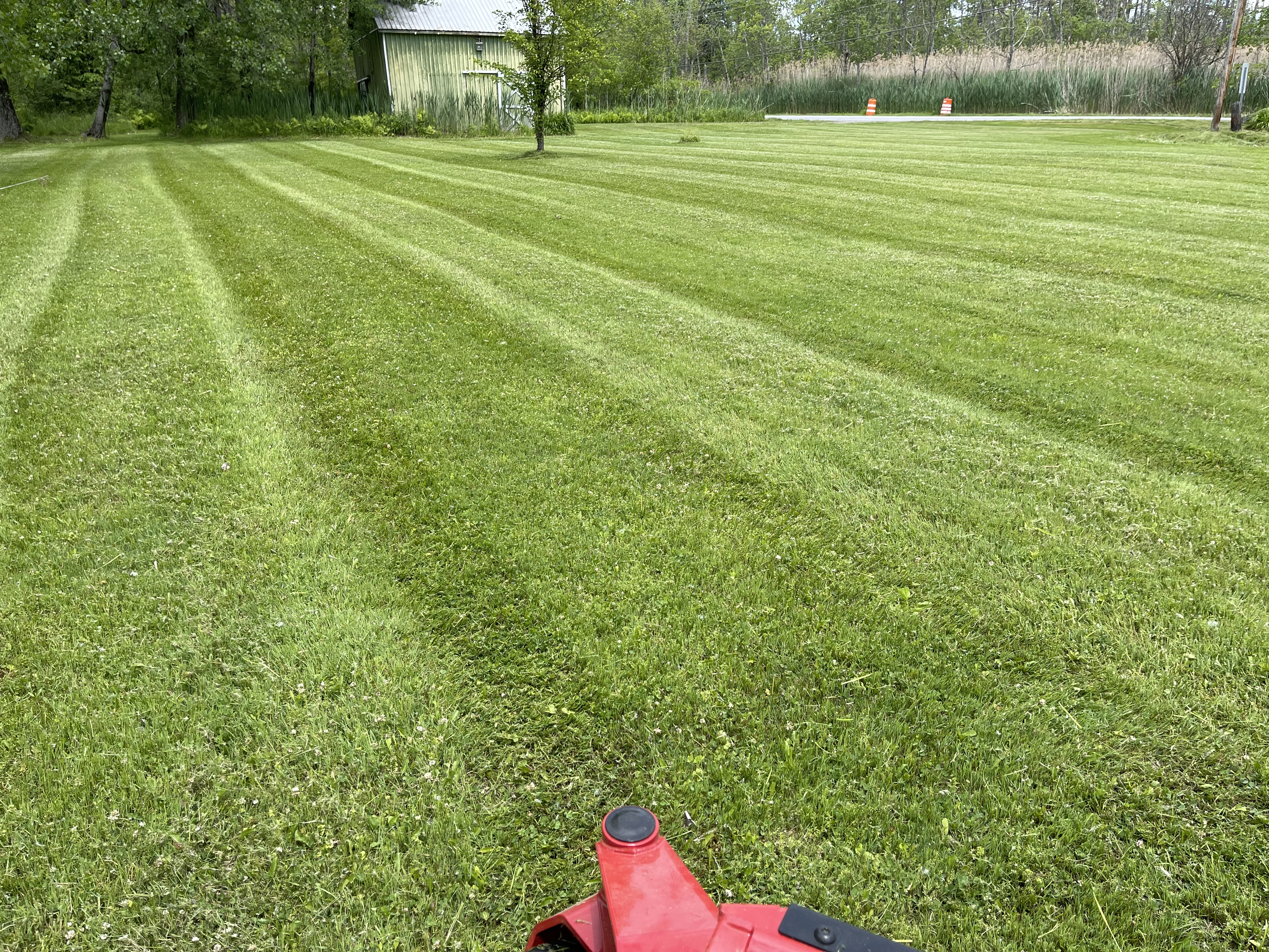 Avatar for Backwoods Lawn & Land Services