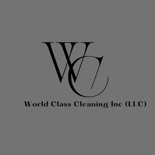 World Class Cleaning Inc logo
