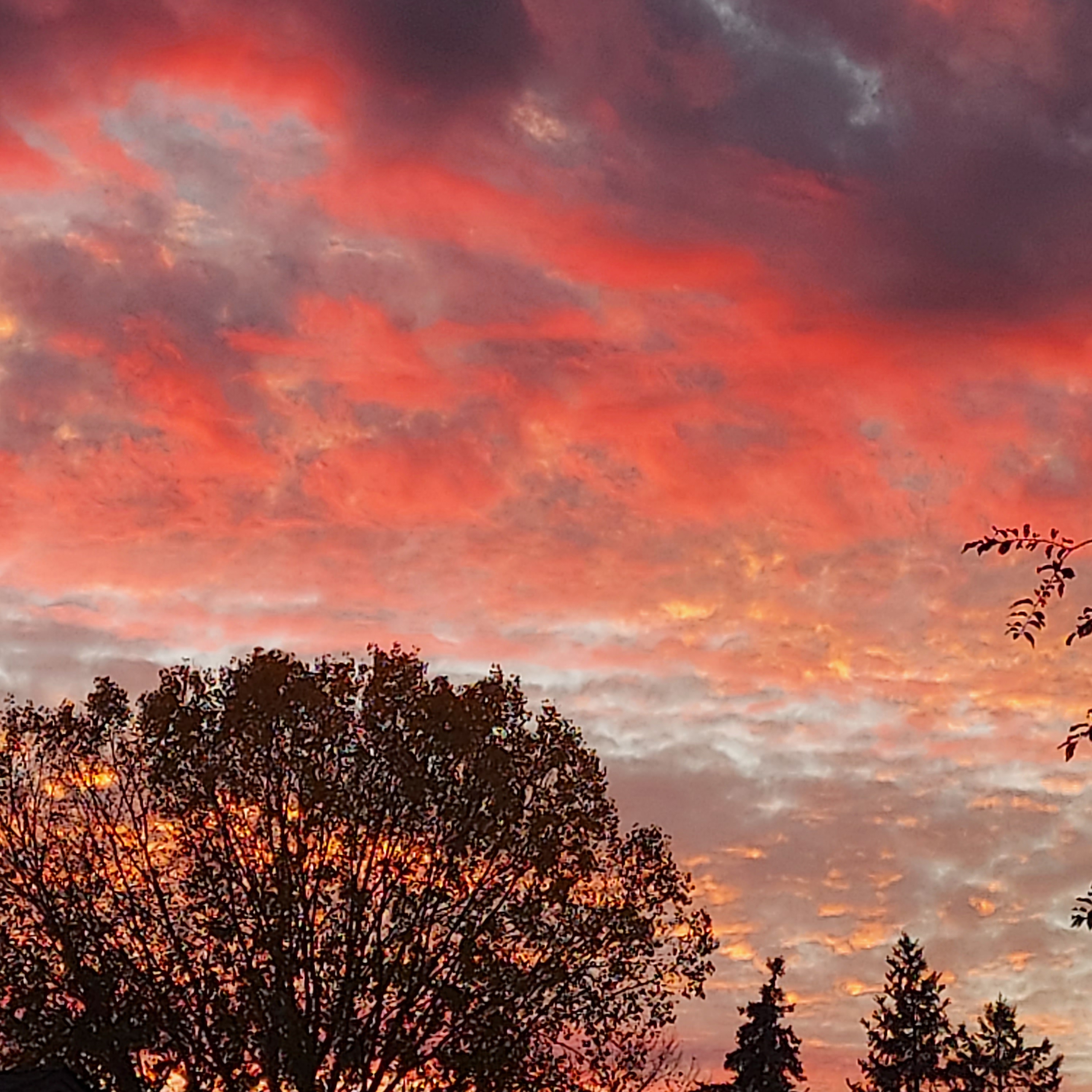 Avatar for Steve's Appliance Repair