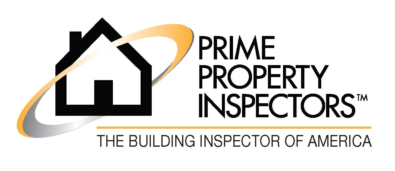 Avatar for THE BUILDING INSPECTOR OF AMERICA