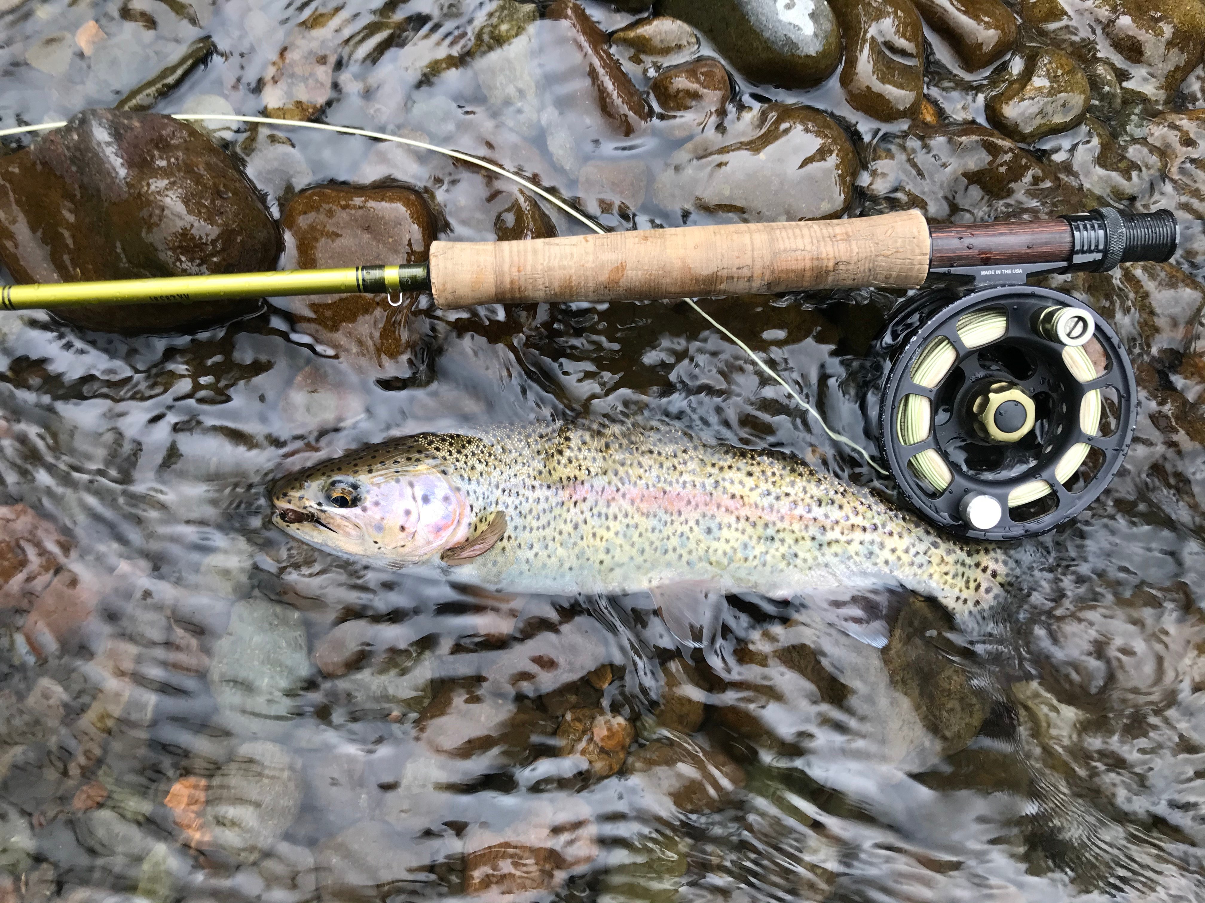 Avatar for TNT Snow Removal, Faucents, Fans & Fixtures