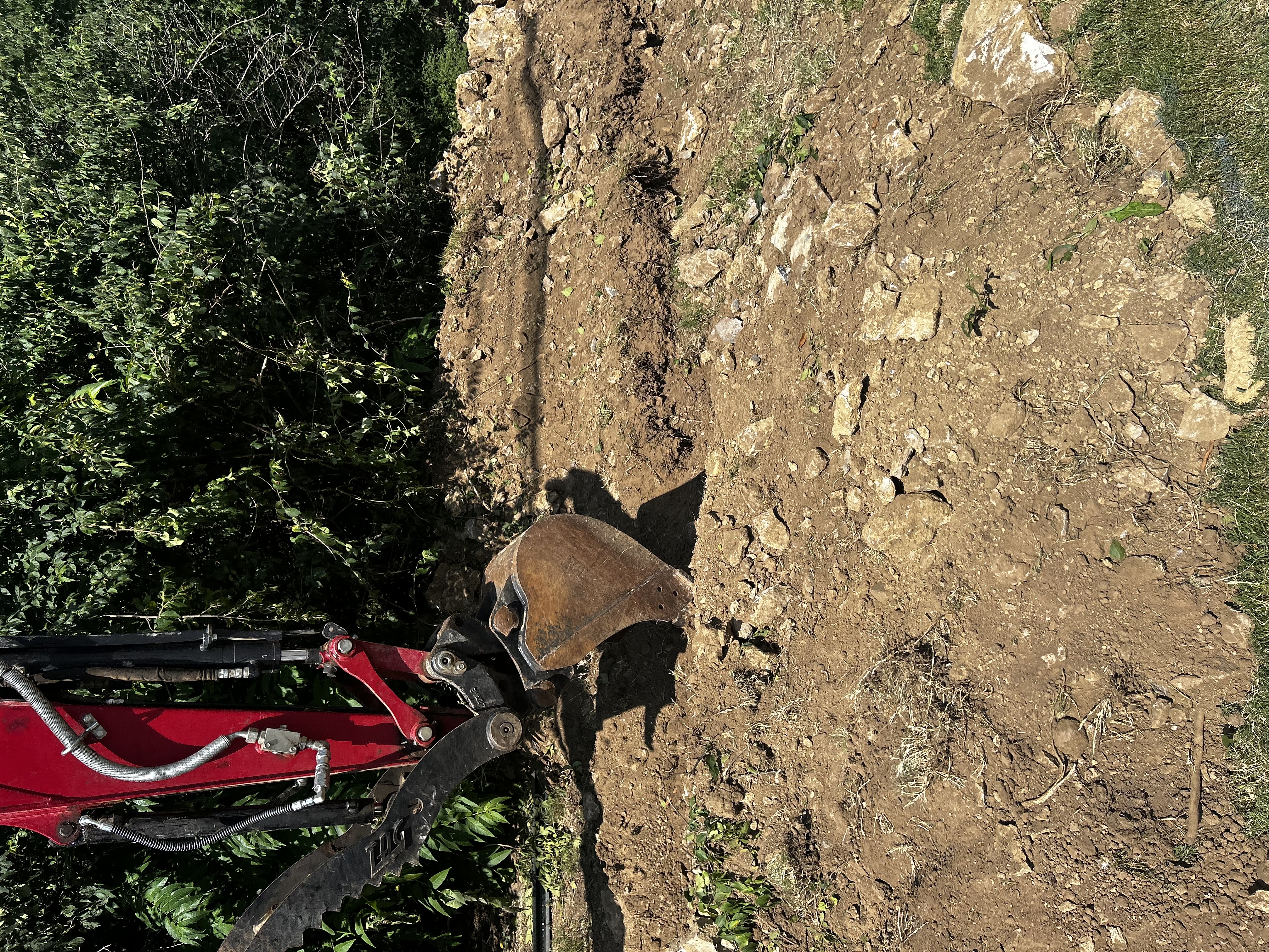 Avatar for Wedig.inc