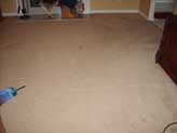 Before cleaning