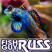 Logo for Fish Guy Russ
