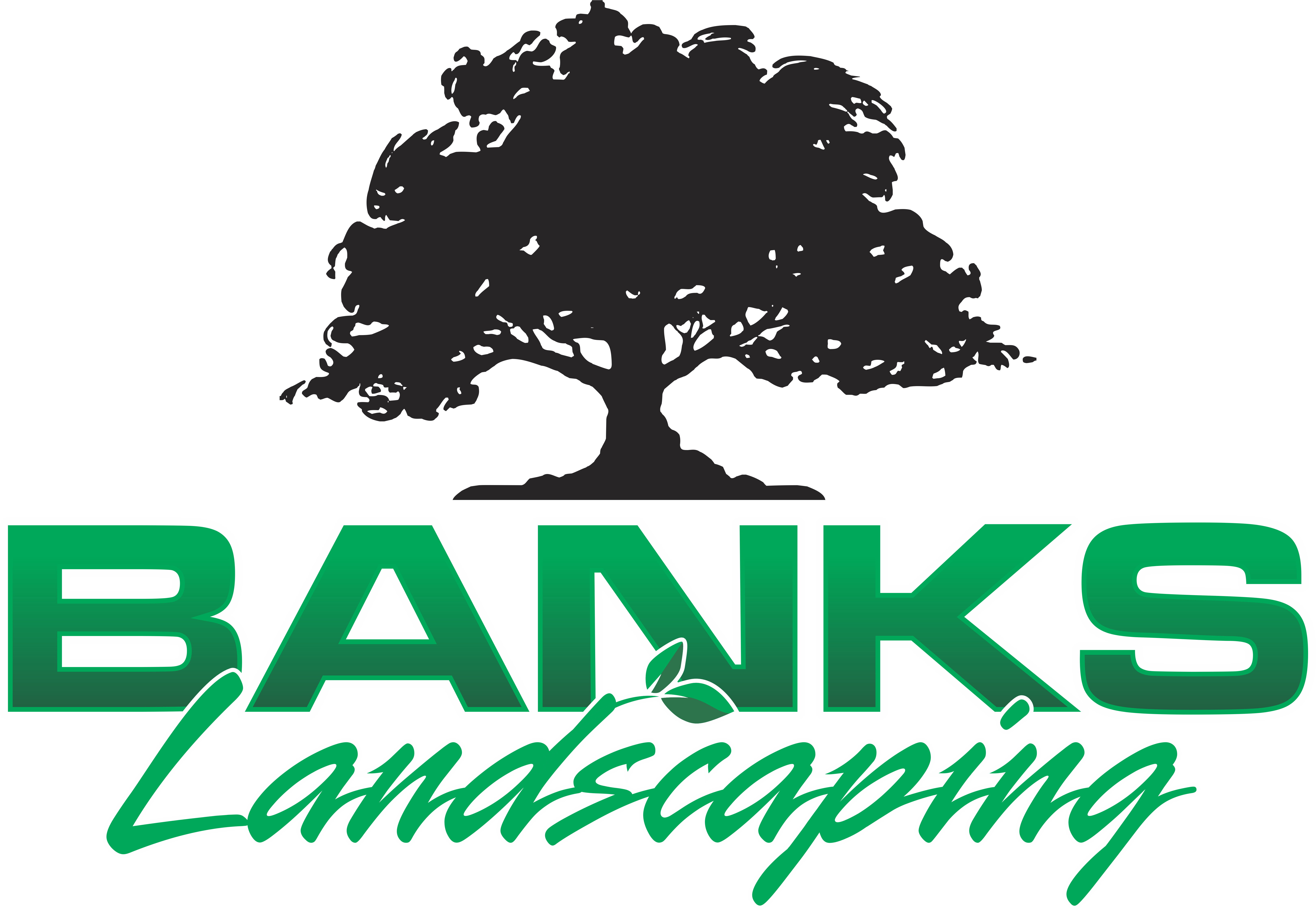 Avatar for Banks Landscaping and Grading