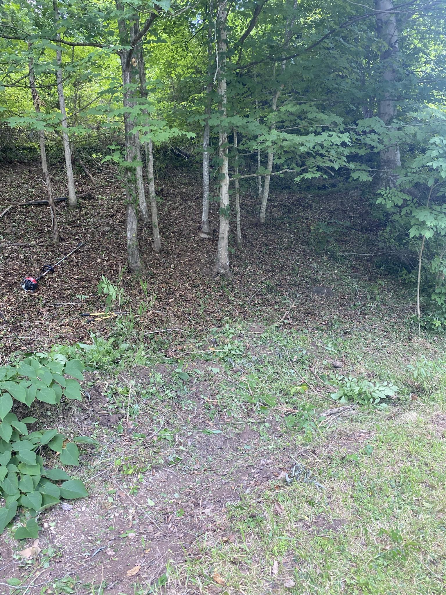 Avatar for T&B lawn care-handyman