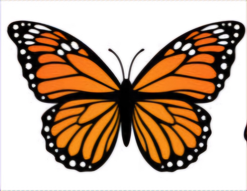 Avatar for Monarch Solutions