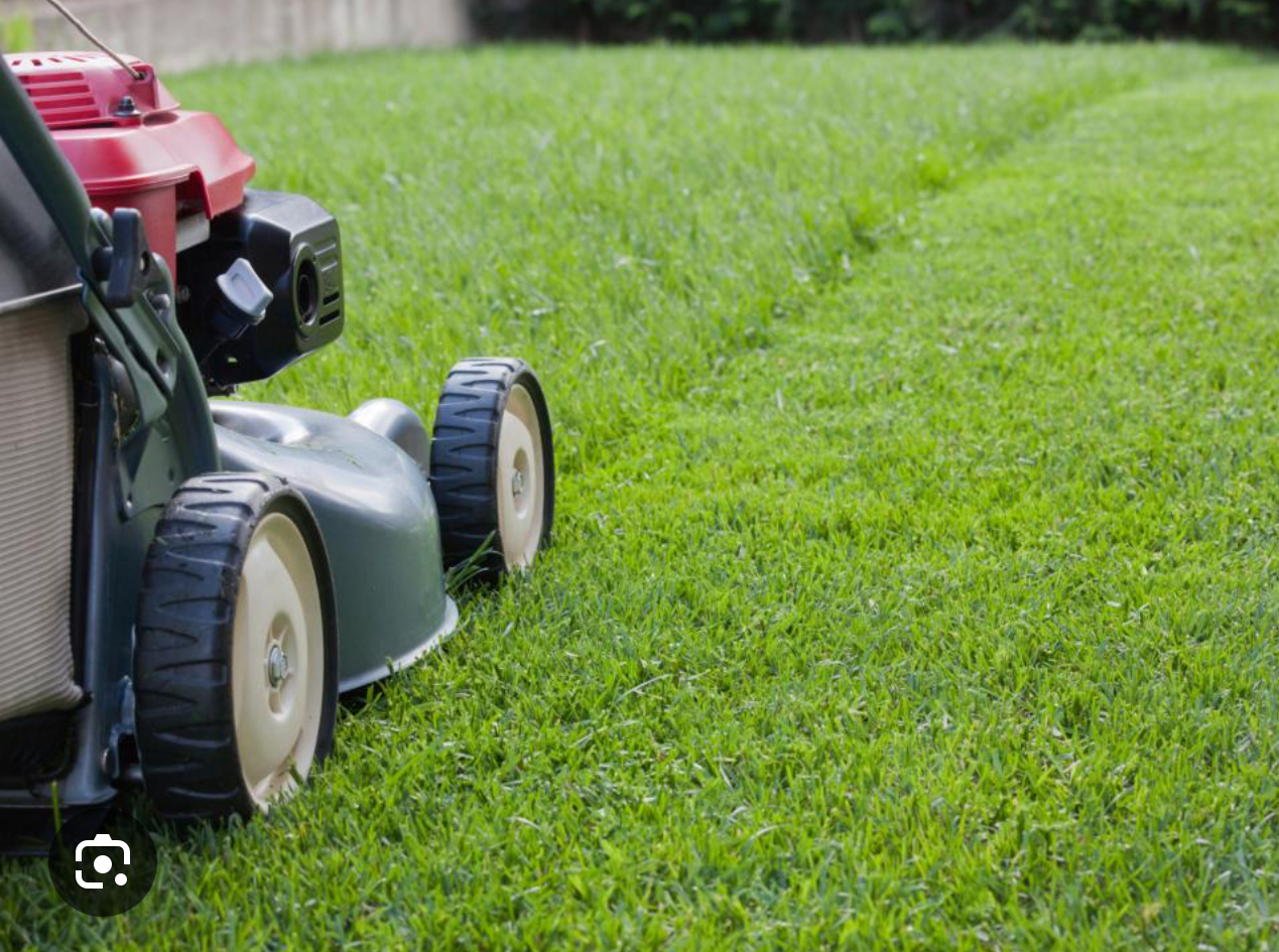 Avatar for Matt’s lawn service 