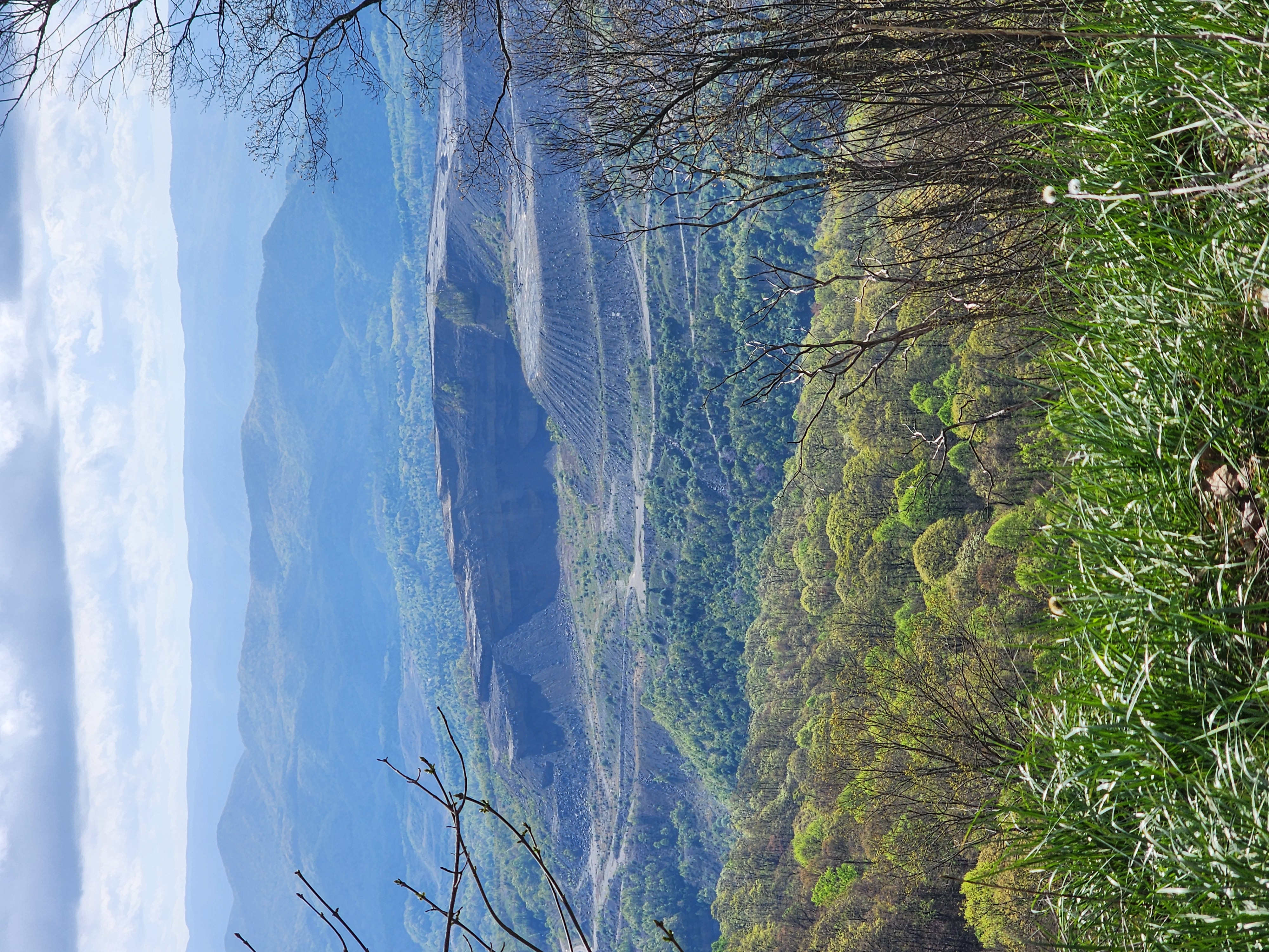 Avatar for EZ Handyman Services