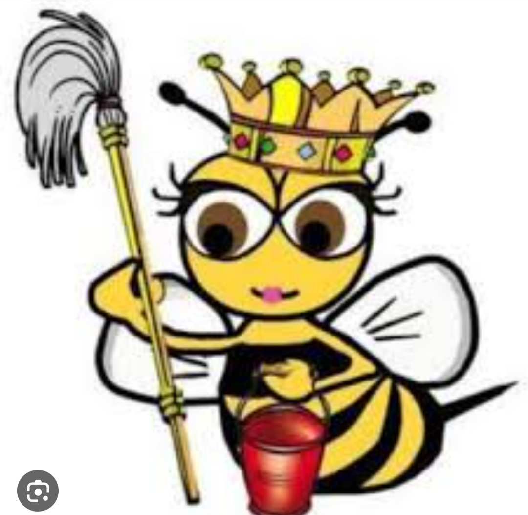 Avatar for The cleaning bs