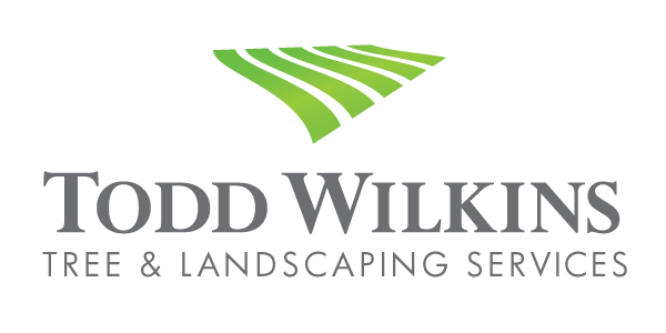 Avatar for Todd Wilkins tree and landscaping services