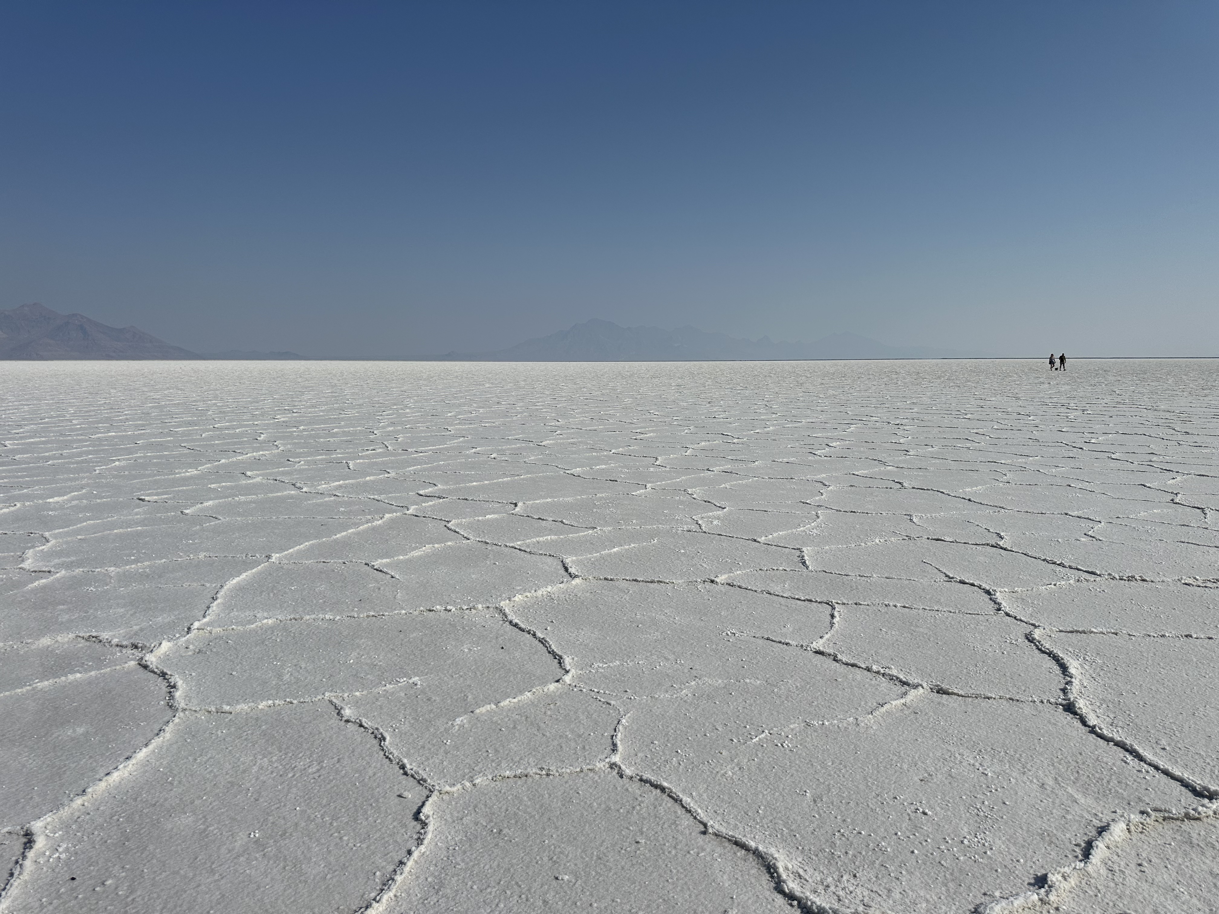 Avatar for Land leaning 