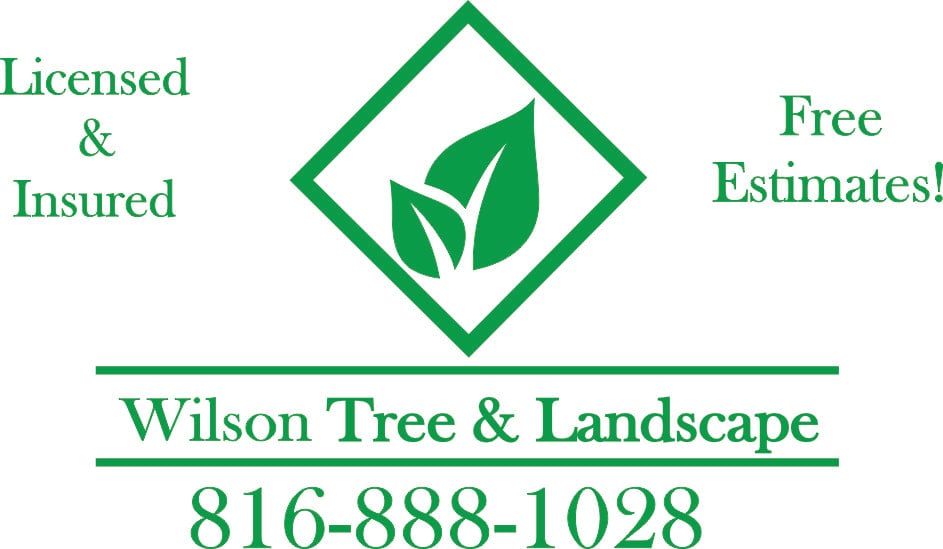 Avatar for Wilson Tree And Landscape