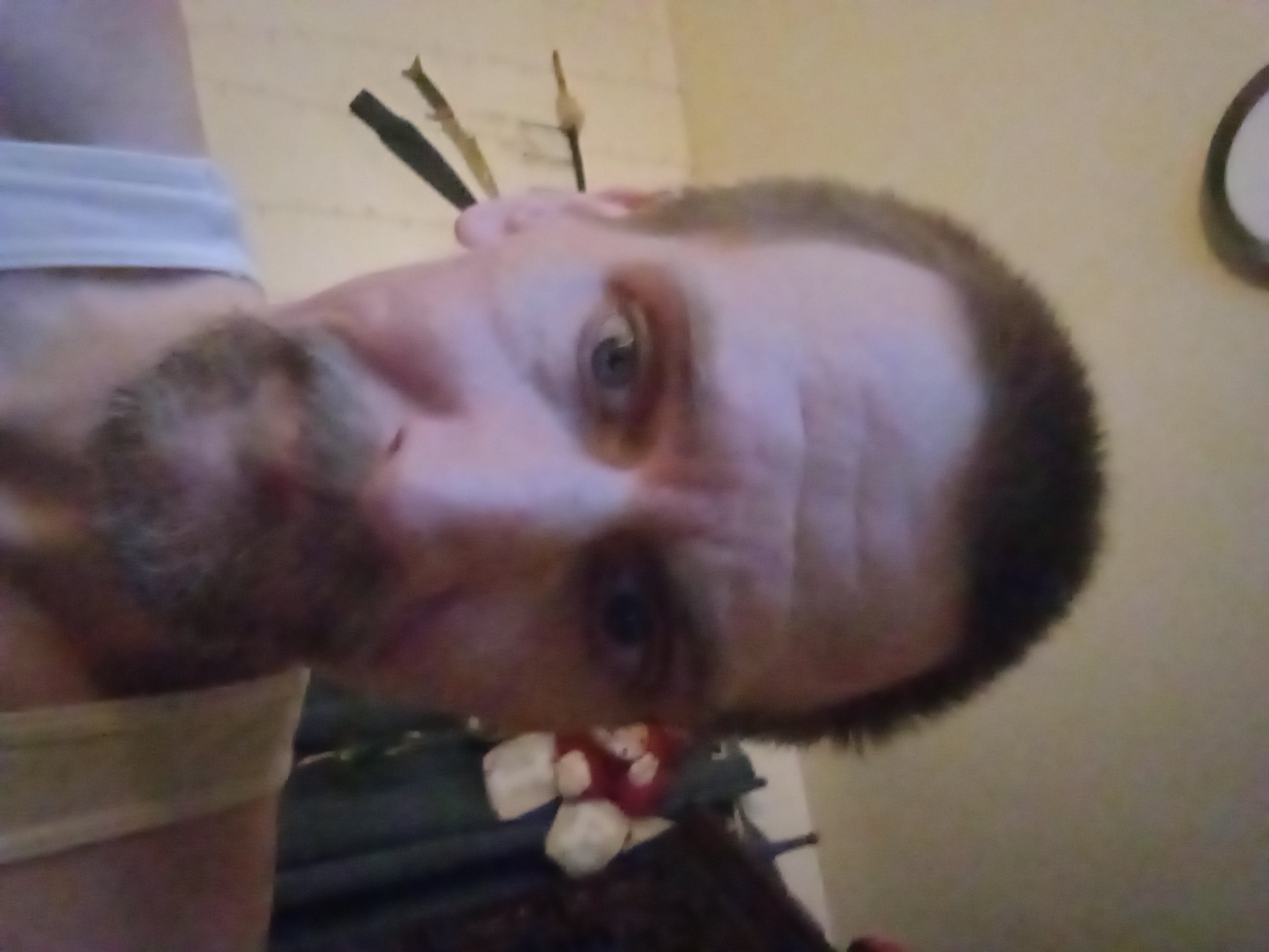 Avatar for Rays do all