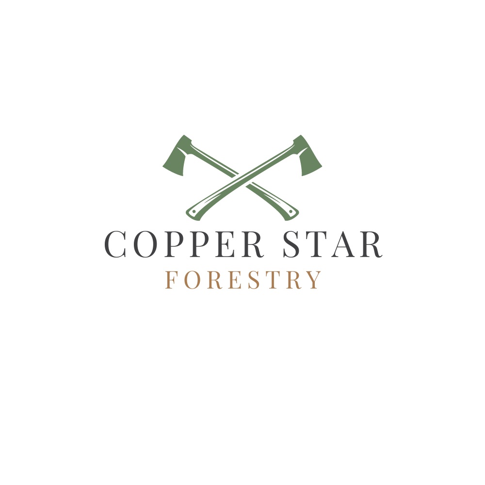 Avatar for Copper Star Forestry