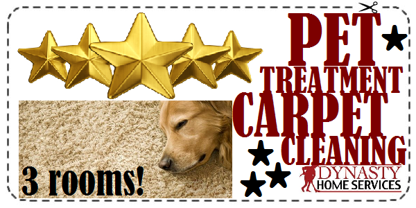 pet cleaning