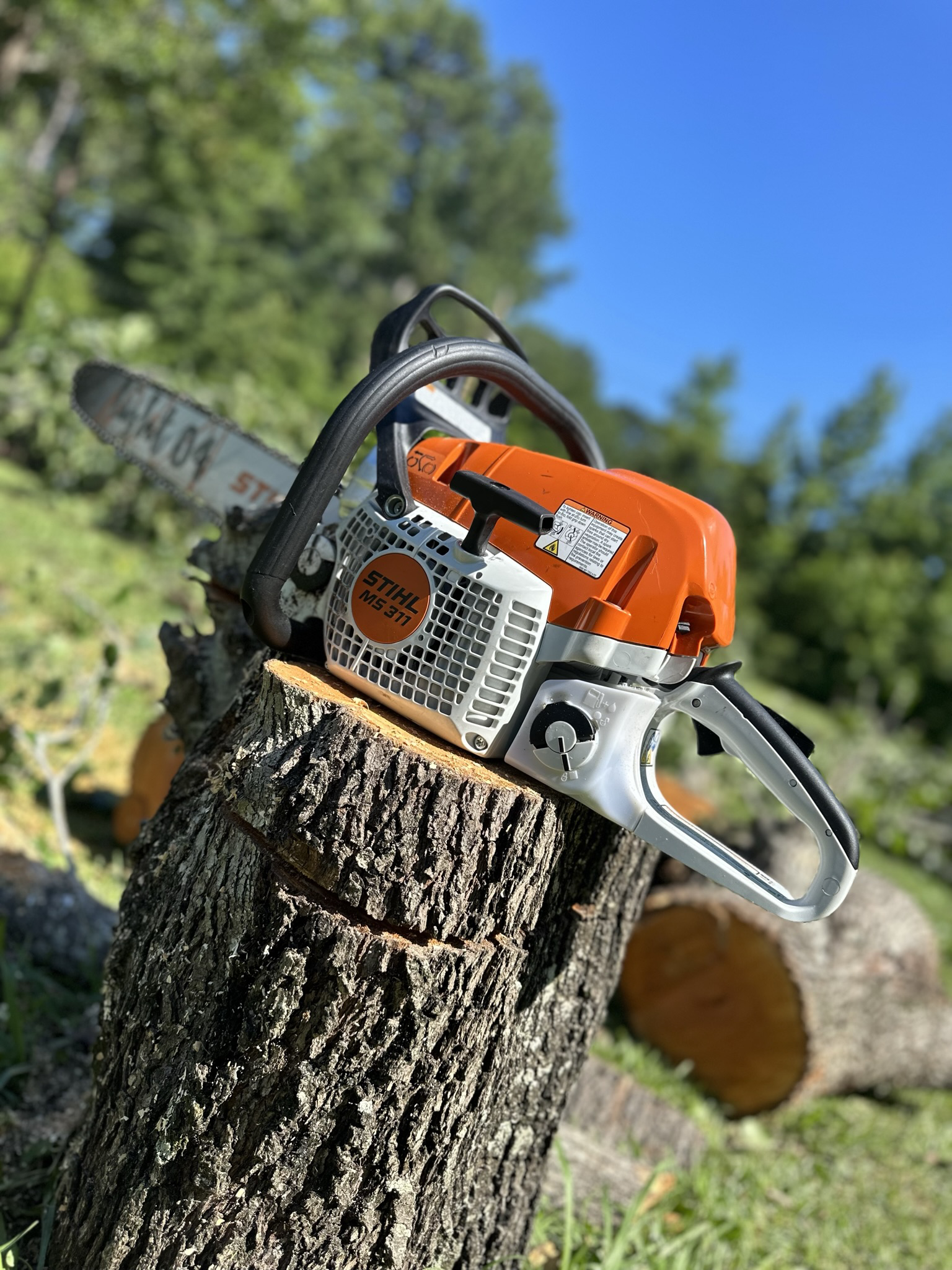 Avatar for DLT Tree Service