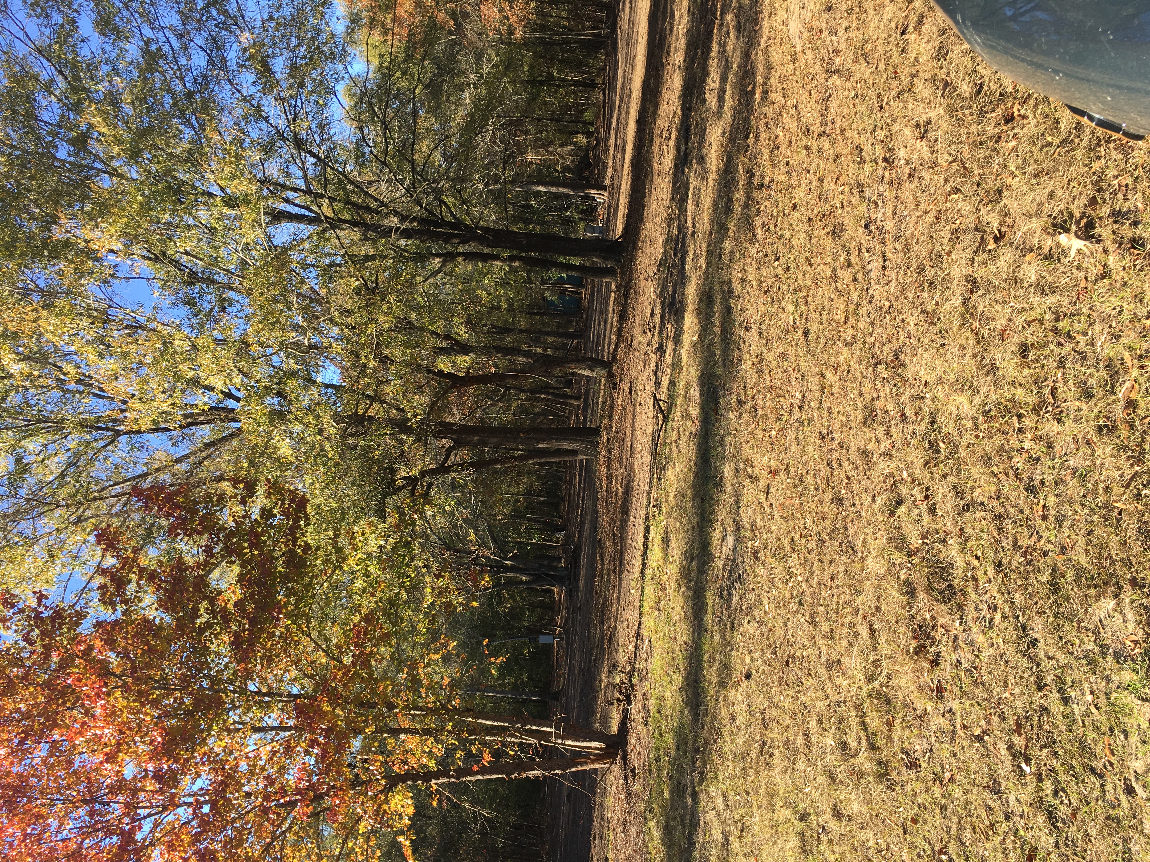 Avatar for Raley's Lawn Service LLC