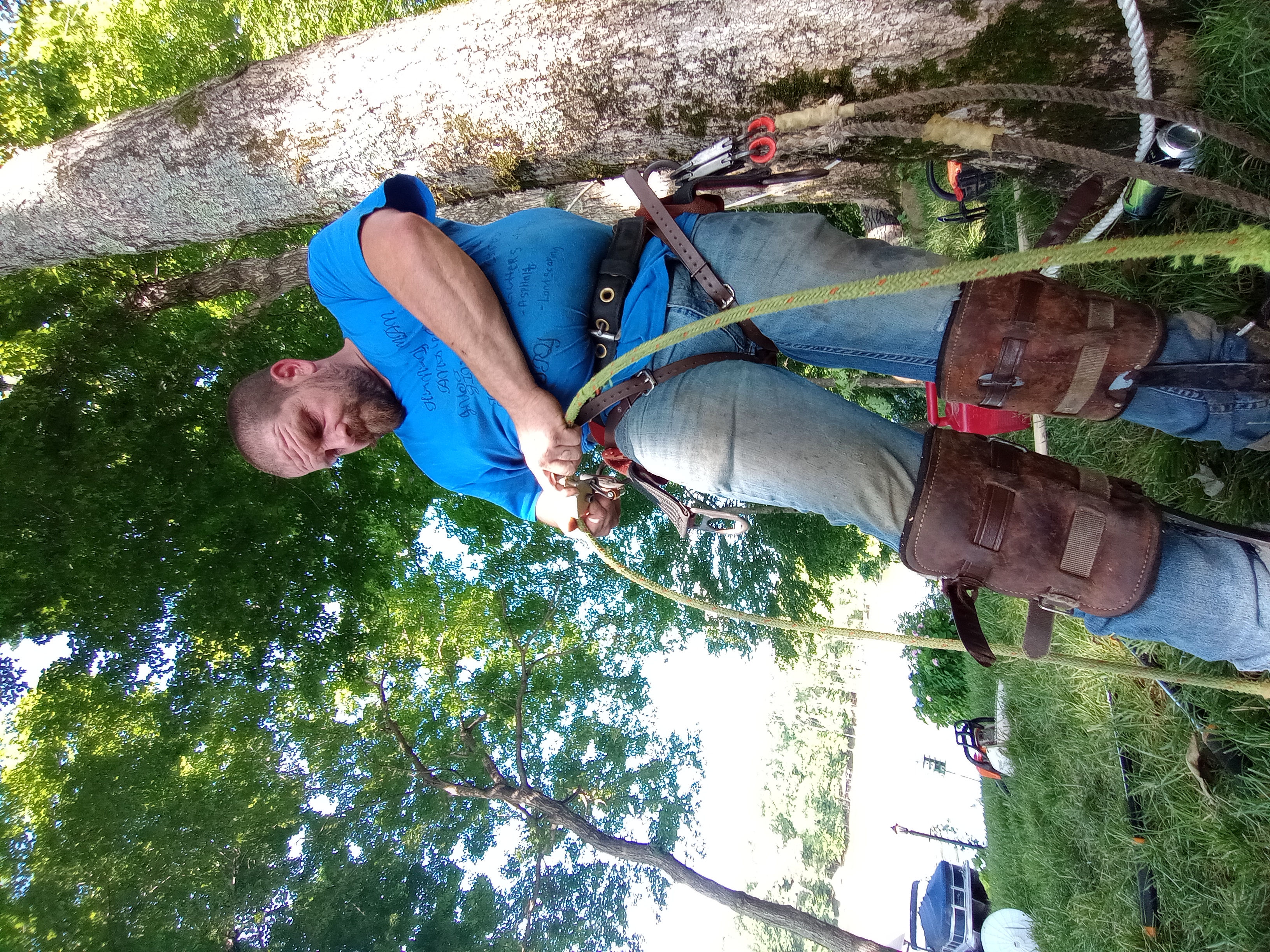 Avatar for Handyman an his van