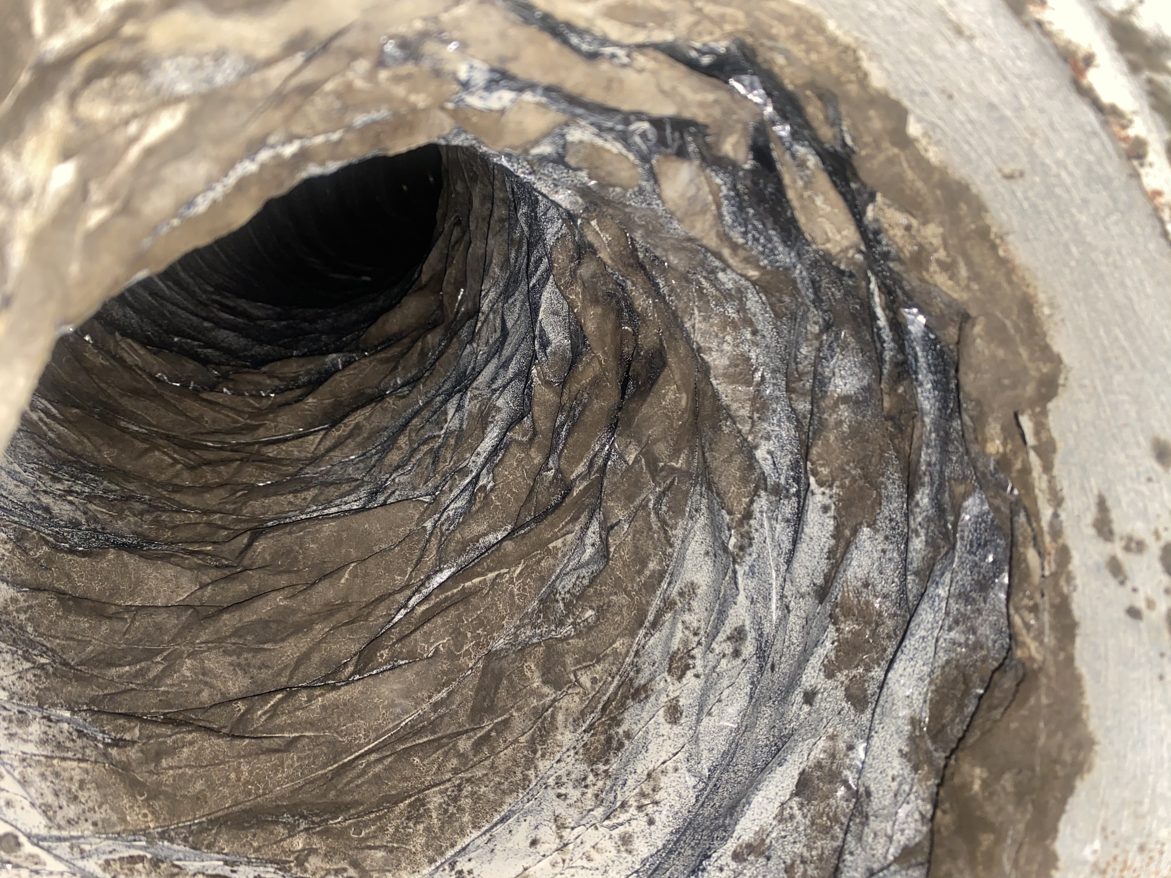 Avatar for Mighty AirDuct Cleaning Solutions