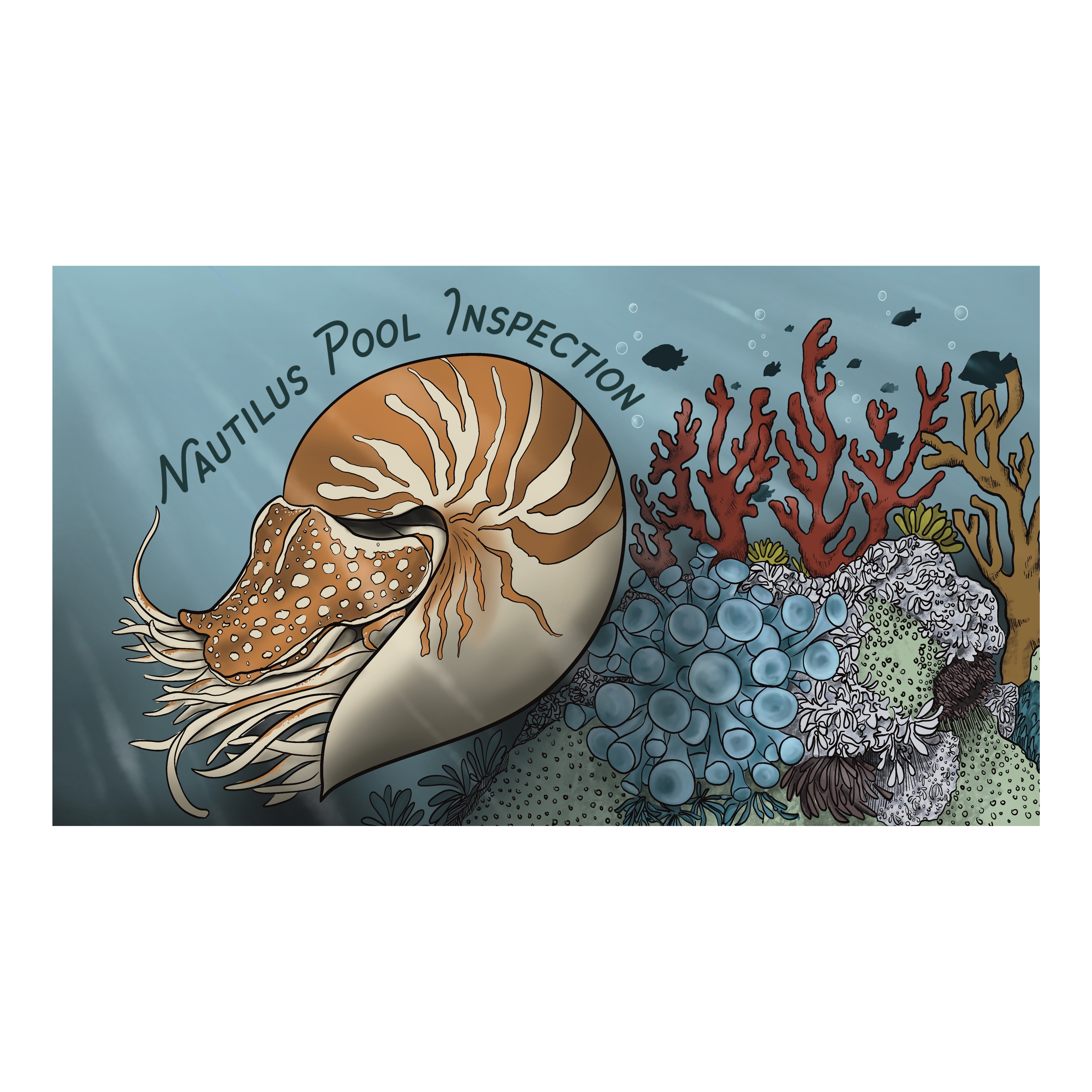 Avatar for Nautilus Pool Inspection 