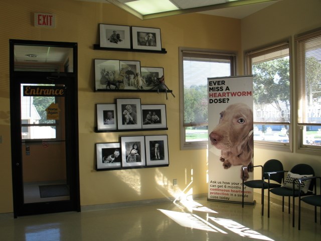 Reception area