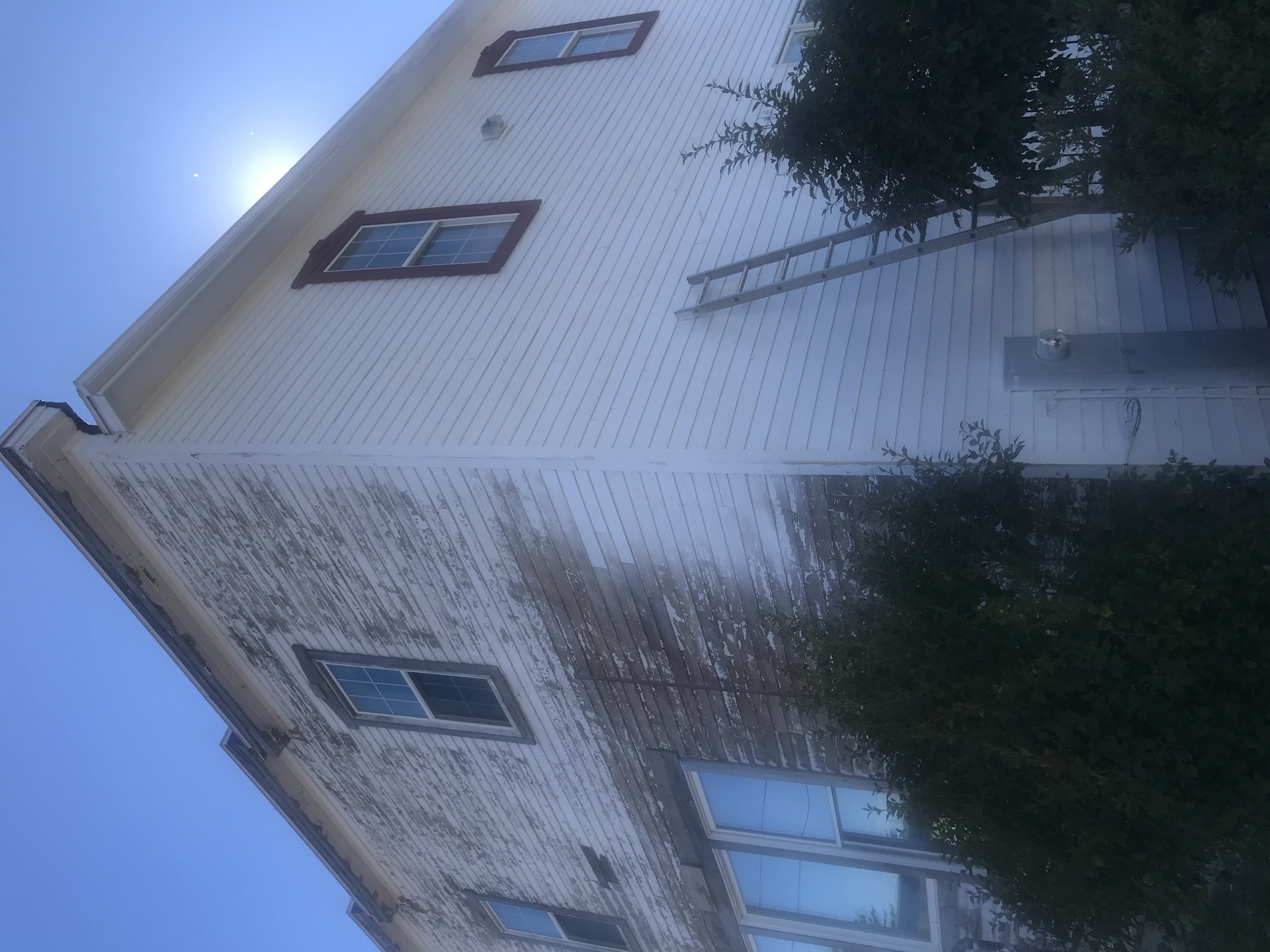 Avatar for Max Reinhardt