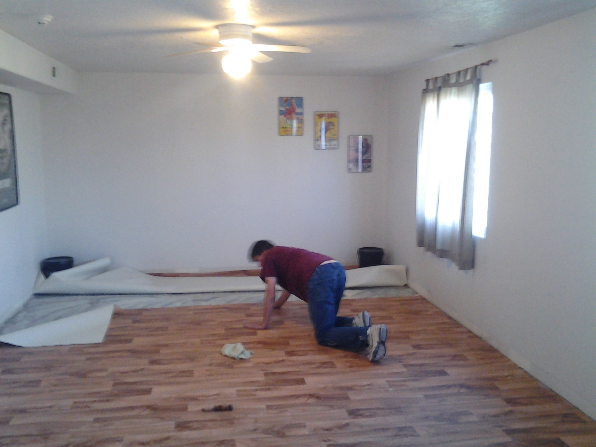 Avatar for Mr. Karpet