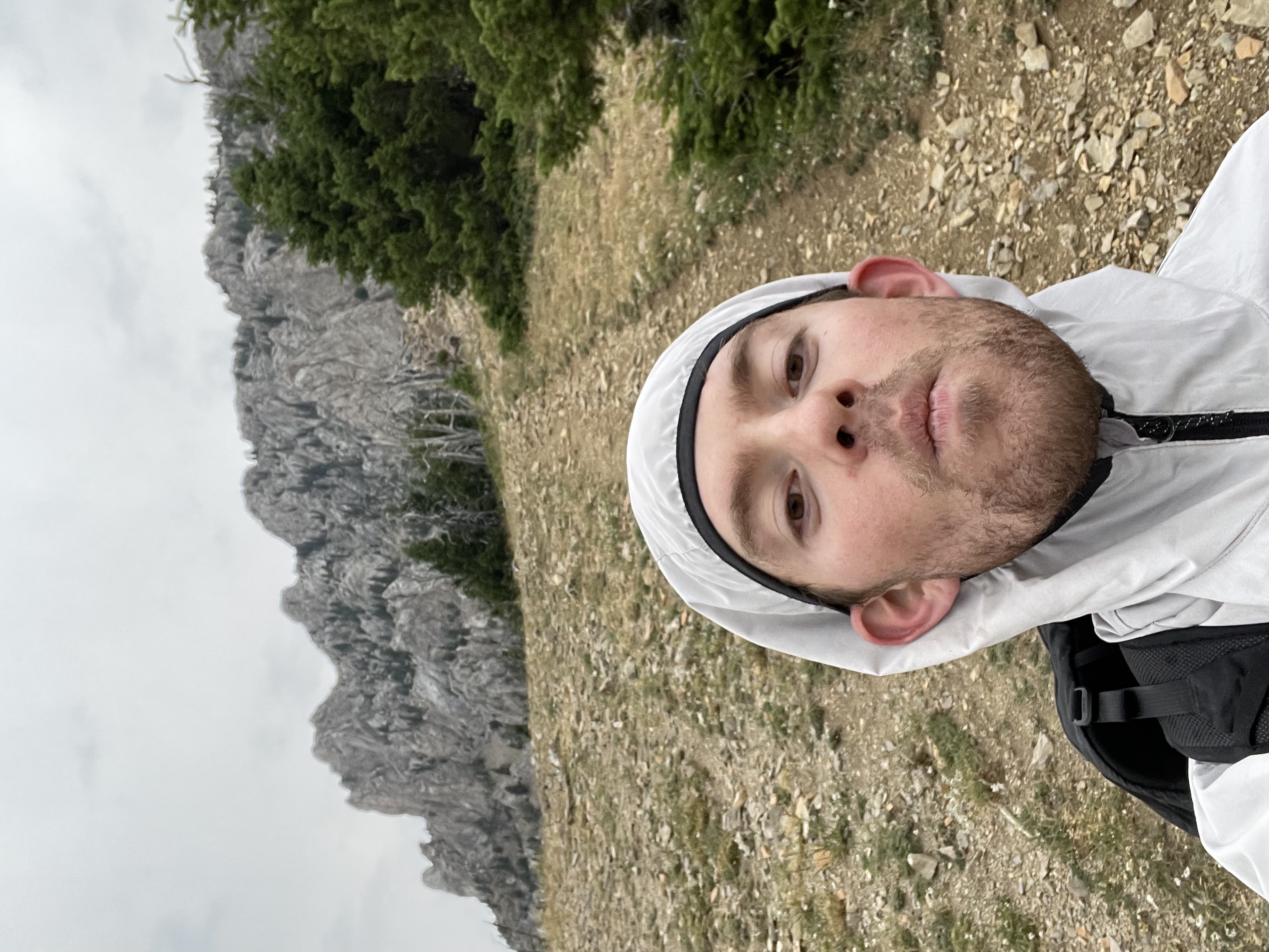 Avatar for Declan Kelly loc