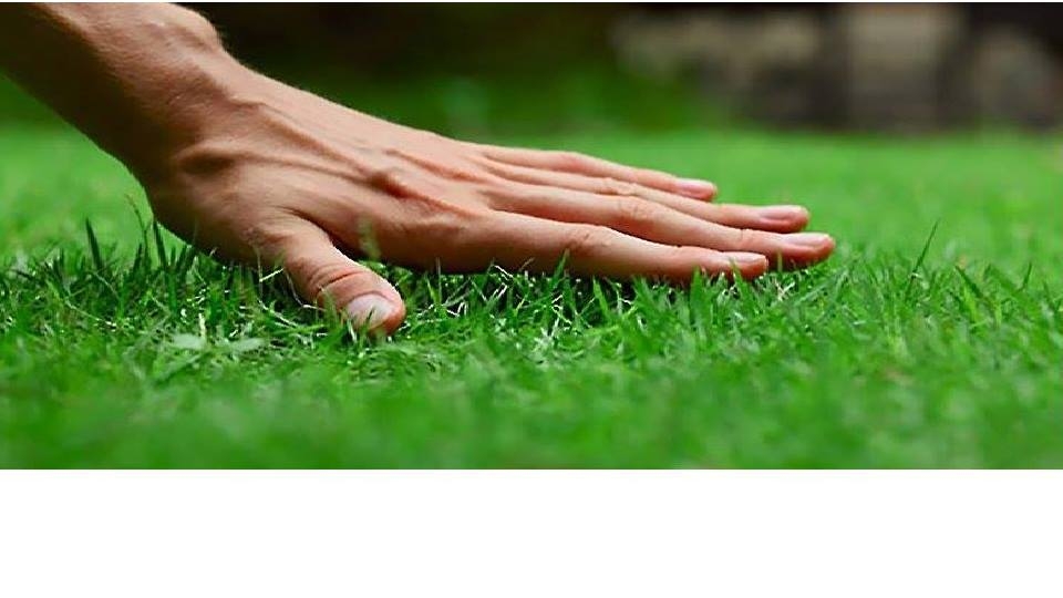 Avatar for Lakeside Lawn Care Landscaping