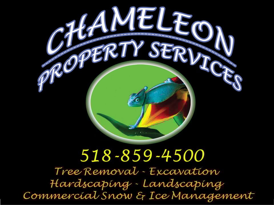 Avatar for Chameleon Property Services