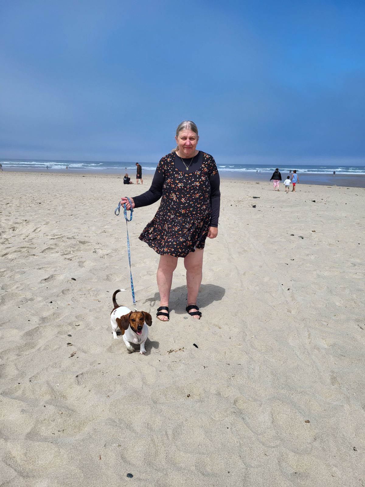 Avatar for Alts cleaning service 