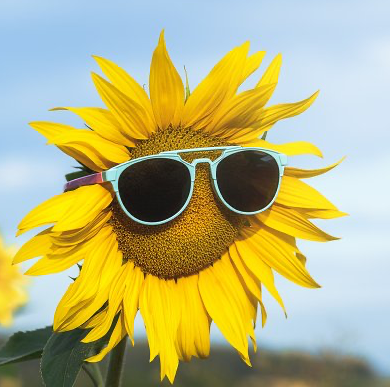 Avatar for Zak Bloom Gardens