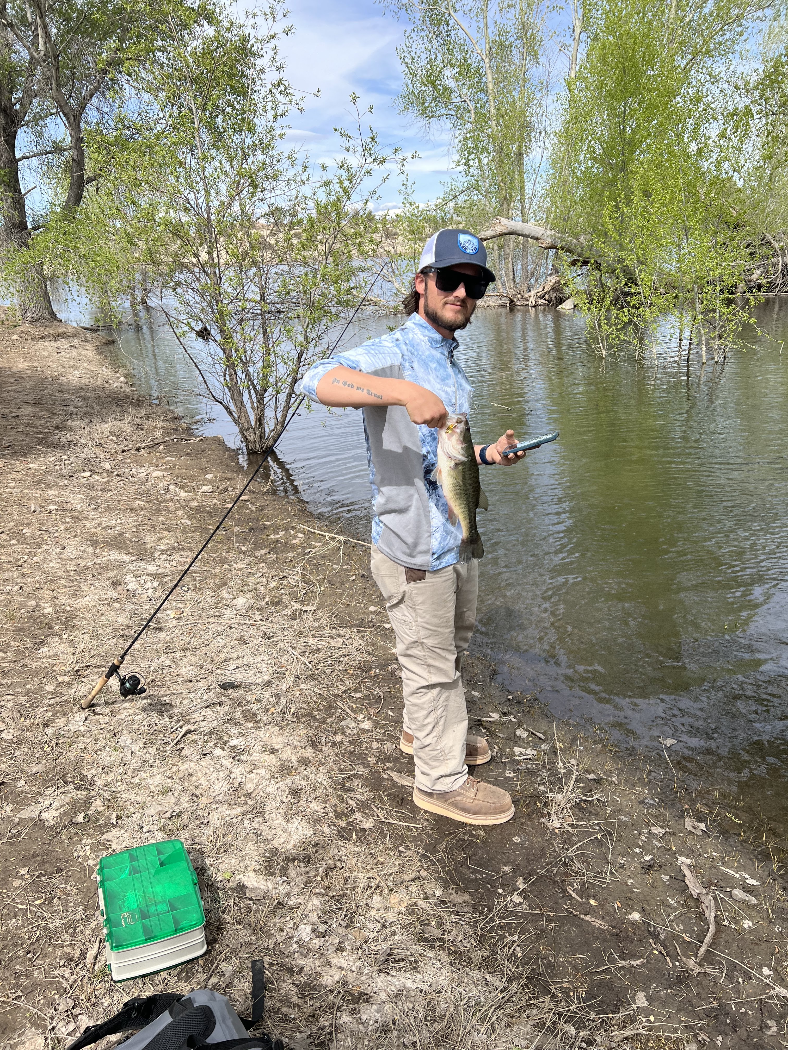 Avatar for Allan Pines Electric