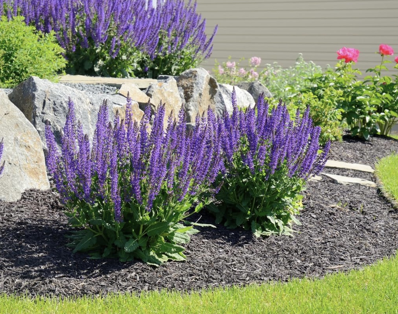 Avatar for TonyJames